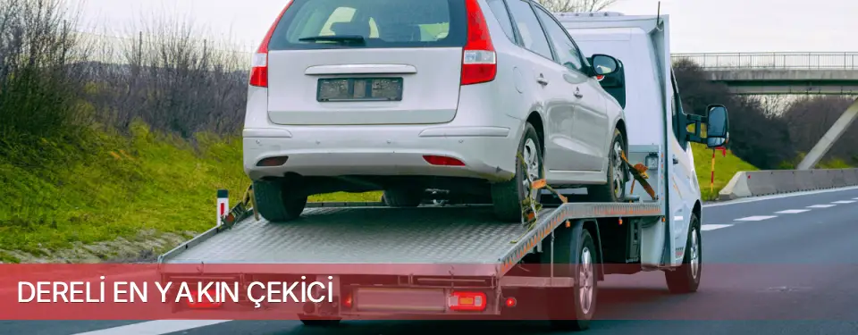 Dereli İlçemi En Yakın Çekici