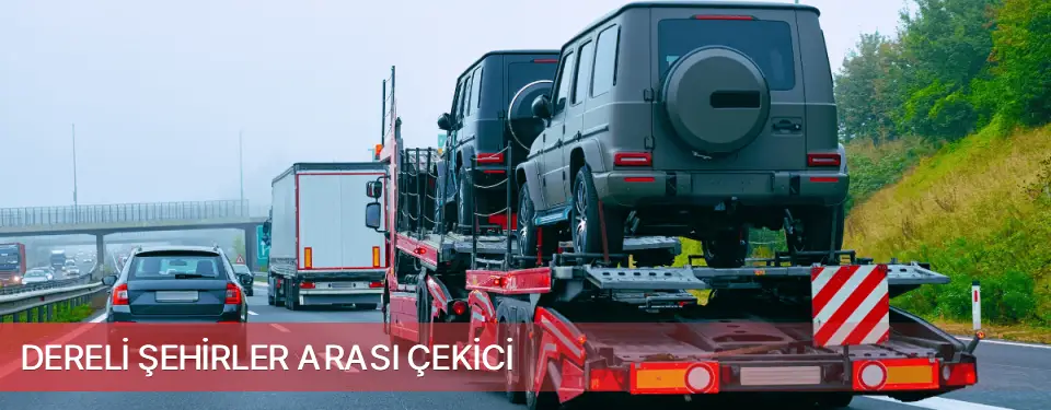 Dereli İlçemi Şehirler Arası Çekici